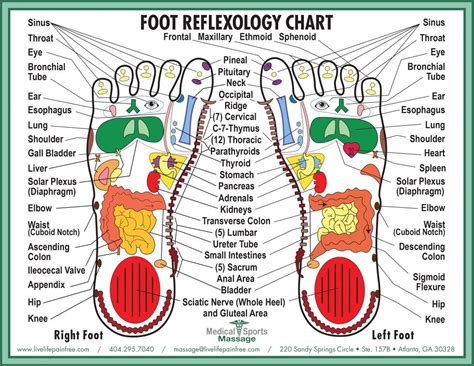 reflexology near me now|More.